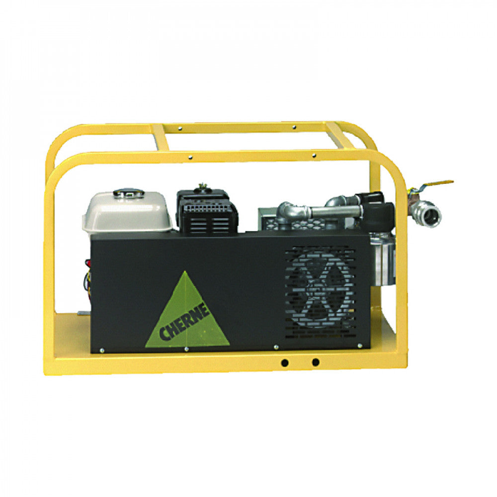278168 Vacuum Pump, Briggs & Stratton Engine By Cherne