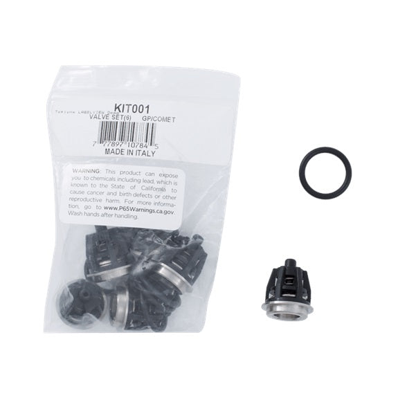 KIT001 Valve Kit (LWD, ZWD, FWS, FW, TSS, TS) for BE Pressure Washer Pumps KIT001