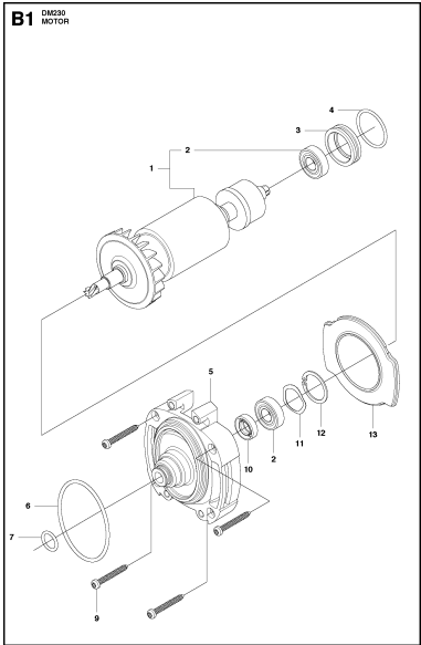 DM 230 Motor Assembly-1 Parts