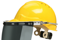 Face Protection