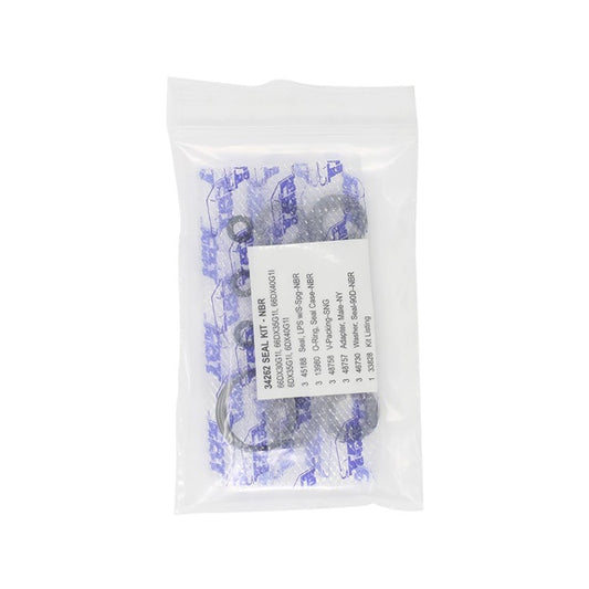 34262 Seal Kit (66DX40GG1) for BE Pressure Washer Pumps 34262