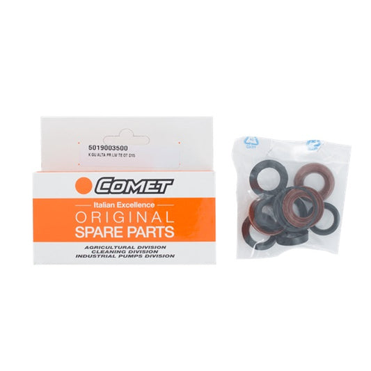 5019003500Seal Kit (for LWSD3025G) for BE Pressure Washer Pumps 5019003500