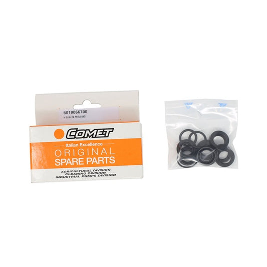 5019066700 Seal Kit (BXD2528G and BXD2020E) for BE Pressure Washer Pumps 5019066700