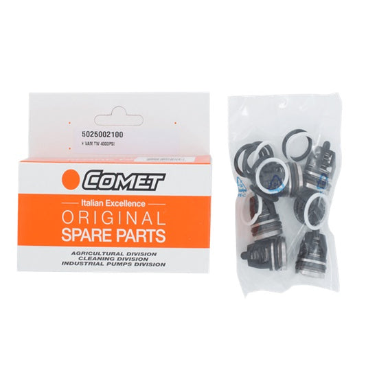 5025002100 Valve Kit (TW5050) for BE Pressure Washer Pumps 5025002100