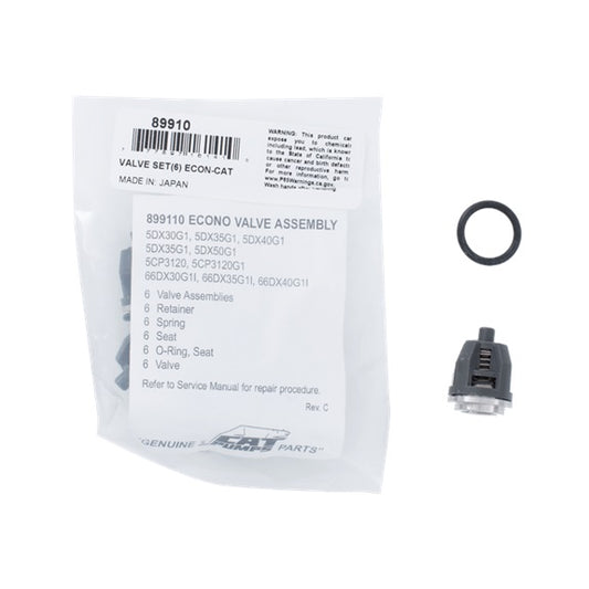 89910 Valve Kit (66DX40GG1) for BE Power Equipment 89910