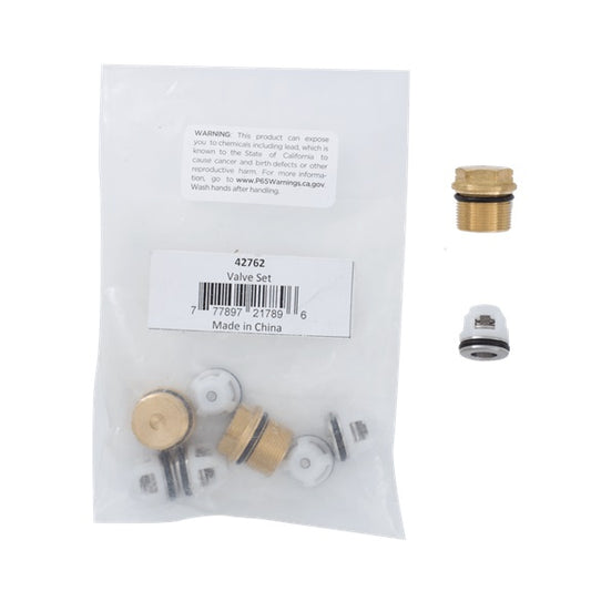 AR42762 Valve Kit (RSV) for BE Pressure Washer Pumps AR42762