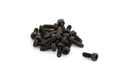 504909414 SCREW FOR POWER CUTTERS BY HUSQVARNA
