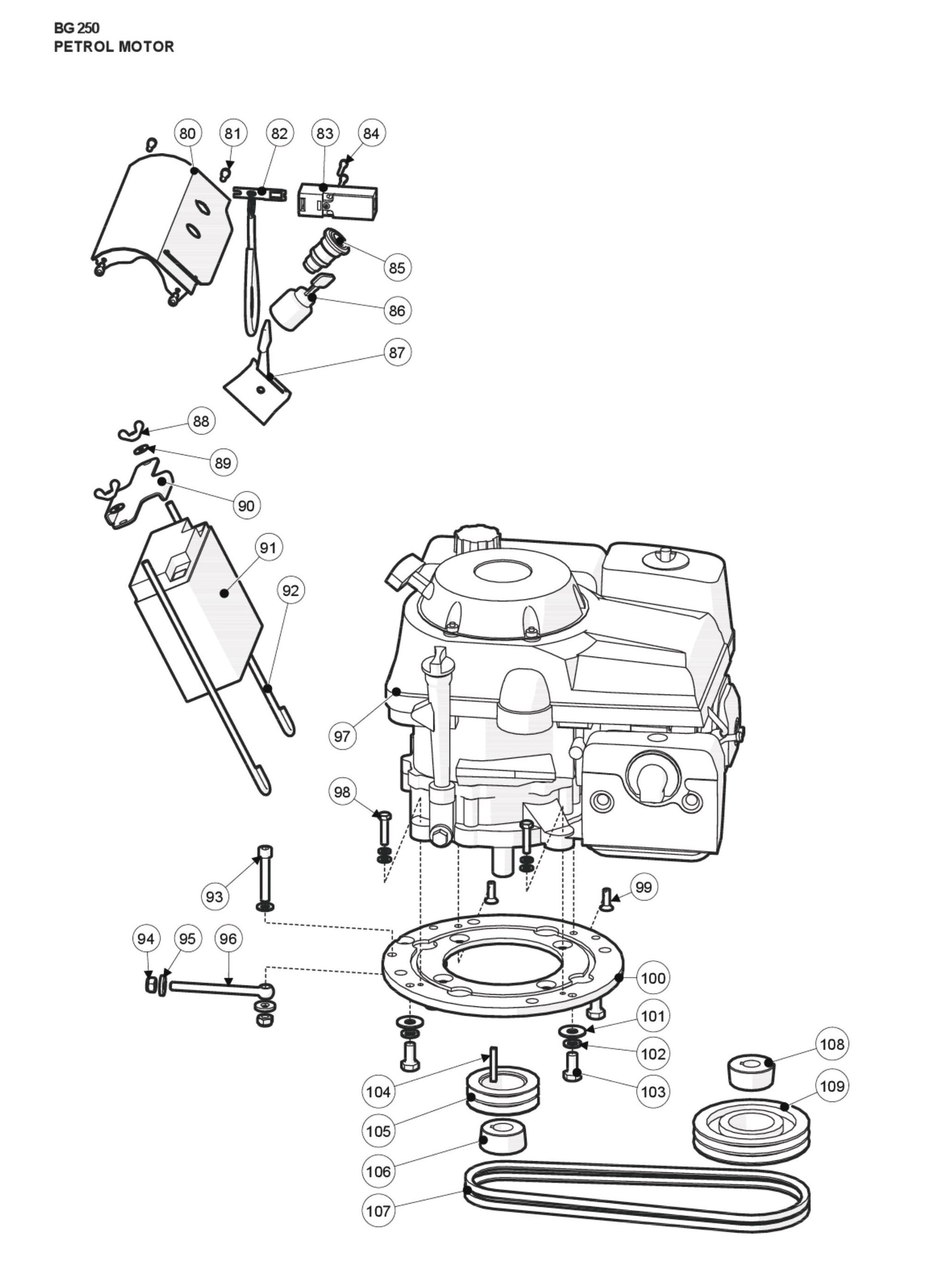 Petrol Motor Parts For BG 250 P By Husqvarna