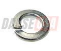 W415360 Lock Washer #8 for 903 230V Concrete Vibrator Motors by Wyco
