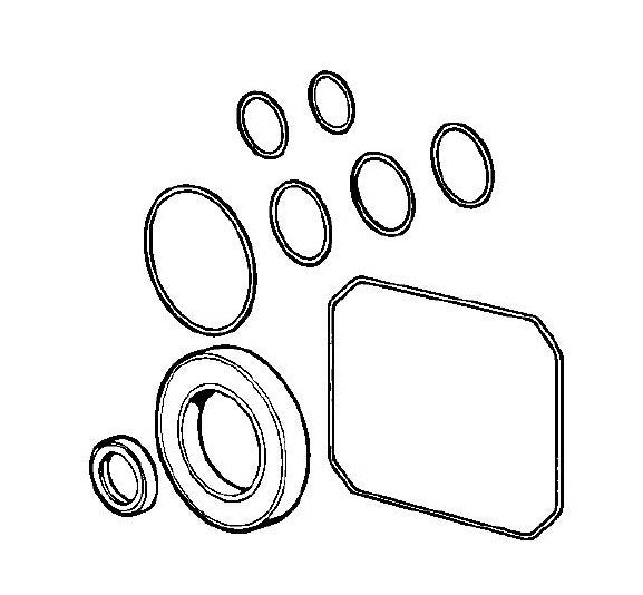 BE PE-4013HWPSCOMZ Pressure Washer Seal Kit Assembly Parts by BE Power Equipment