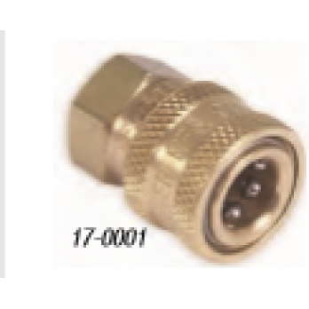 17-0001 Qc 1/4F X 1/4 Socket Brass for MI-T-M 3004-0ME1 CW Series by MiTM 170001