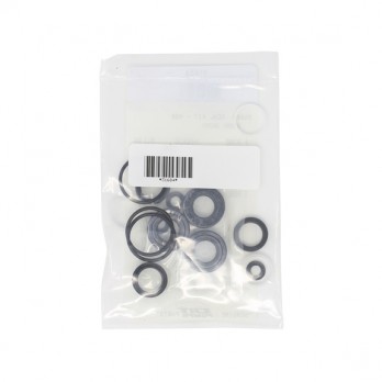 31684 Seal Kit (4DNX27G) for BE Pressure Washer Pumps 31684