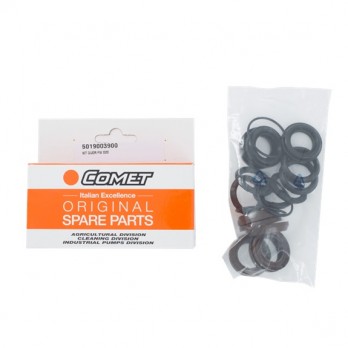 5019003900 Seal Kit (FW25035) for BE Pressure Washer Pumps 5019003900