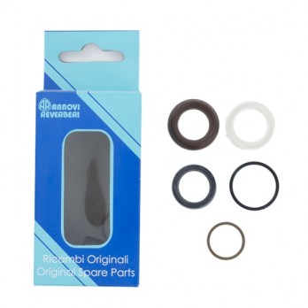AR42549 Seal Kit (RRA35G30E) for BE Pressure Washer Pumps AR42549