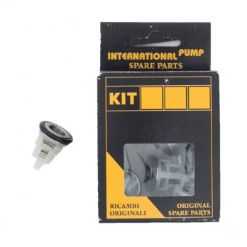 KIT123 Valve Kit (TP, EZ, HTC) for BE Pressure Washer Pumps KIT123