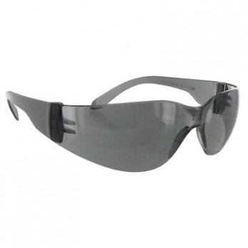 10 Pack Gateway 4683 StarLite Safety Glasses Gray Lens 